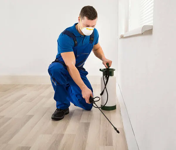 Termite Tenting/Fumigation Services Burbank, CA Termite Spot Treatment